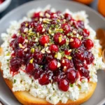 Cranberry Boursin Dip First Image